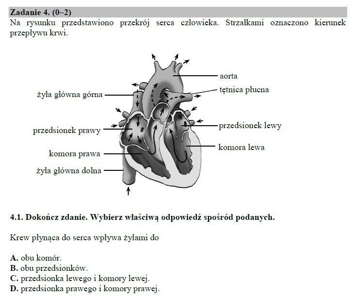 Egzamin gimnazjalny 2019. MATEMATYKA ODPOWIEDZI. Prawdziwe...