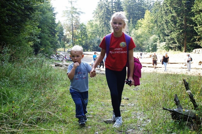 Odkryj Beskid Wyspowy. W krainie idealnych jodeł i płanetników