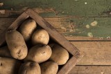 W Łupawie nie chcą przechowalni ziemniaków 