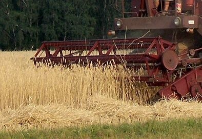 Kombajn spalił się na polu w Gminie Szudziałowo