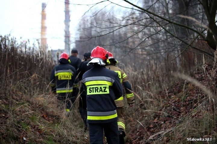 Stalowa Wola. Substancja pływająca na wodzie to przepalony olej silnikowy (AKTUALIZACJA)