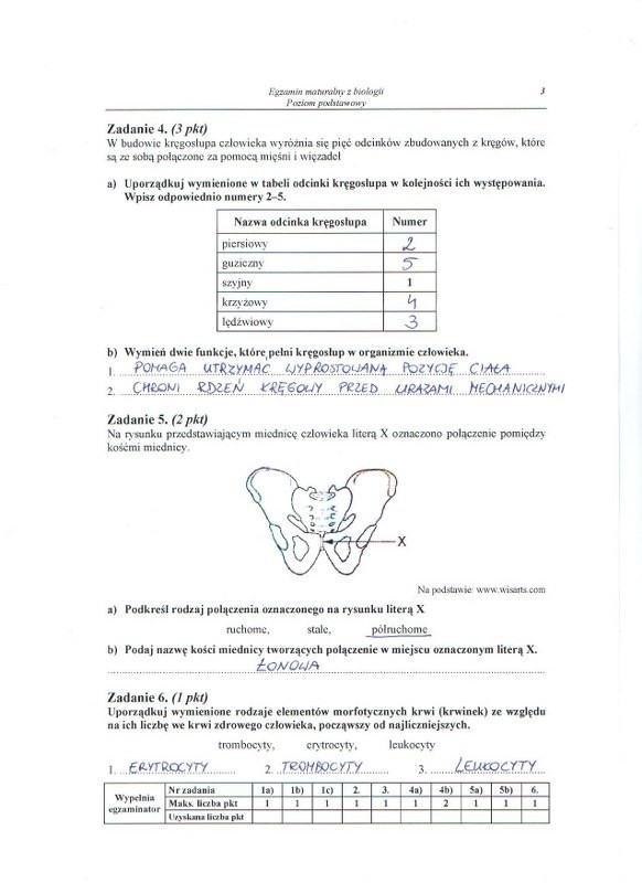 MATURA 2013. Biologia - poziom podstawowy [ARKUSZE, ODPOWIEDZI, KLUCZ CKE]