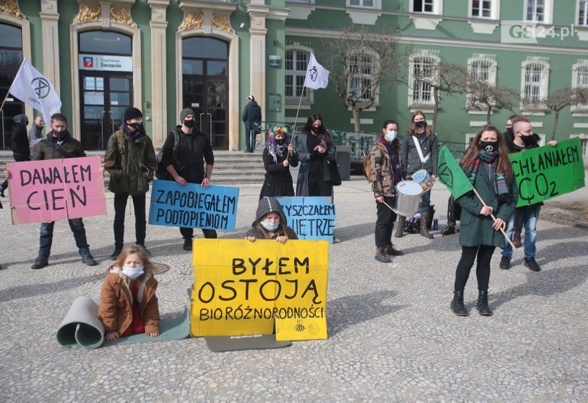 "Alarm klimatyczny". Ekologiczny protest przeciwko wycince drzew przed Urzędem Miasta w Szczecinie