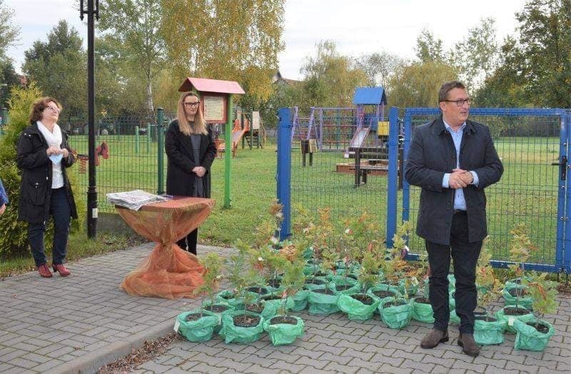 Piękna tradycja w gminie Nowy Korczyn. Drzewka dla rodziców dzieci, które urodziły się niedawno na terenie gminy (ZDJĘCIA)