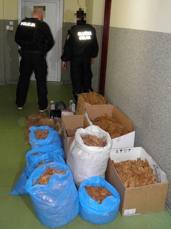 Policjanci zabezpieczyli tytoń w Lęborku...