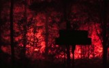 Największy w historii Szwecji pożar lasów. Są ofiary