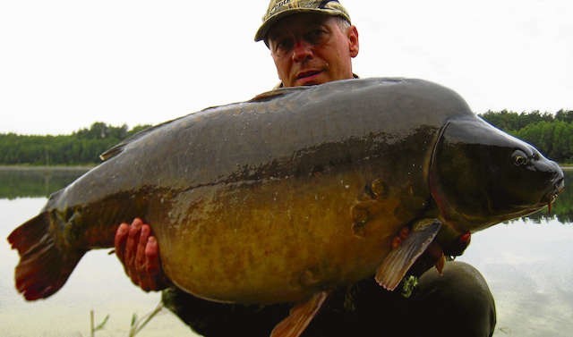 Na jeziorze Tuszynek koło Osieka Ryszard Kukiel  złowił 20,5 kg karpia. Norma Złotego Medalu PZW została przekroczona o 5,5 kilograma