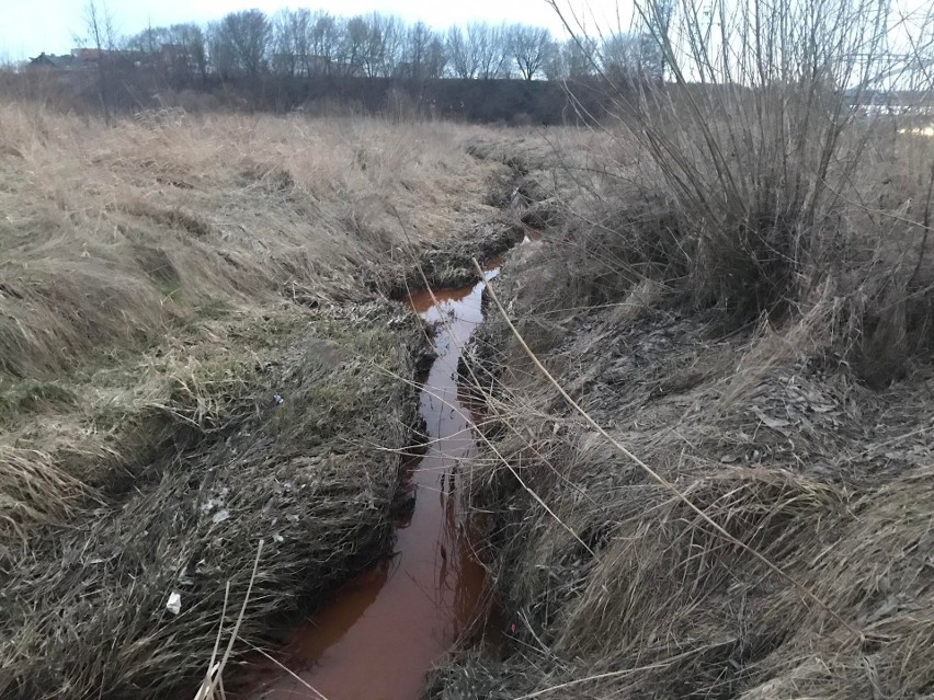 Zanieczyszczona rzeka Dolistówka