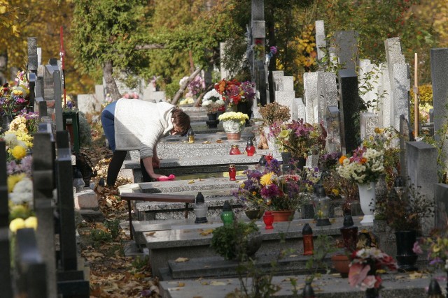 Zwalone konary drzew, ciągła ekspozycja na opady deszczu, śniegu, mróz, promienie słoneczne i wiatr, wreszcie – wandalizm. Wszystkie te czynniki mają negatywny wpływ na stan grobów naszych bliskich. Jak zadbać o nagrobek, by zminimalizować jego niszczenie i co zrobić, jeśli mimo podjętych środków zostanie on uszkodzony?Nagrobek z granitu najlepiej umyć wodą, do której można ewentualnie dodać niewielką ilość zwykłego płynu do zmywania naczyń. Tego typu płyta nie wymaga stosowania żadnych dodatkowych środków.więcej porad na kolejnych planszach >>>zobacz także, jak czyścić nagrobek z zabrudzeń. Który materiał jest najbardziej odporny na uszkodzenia?