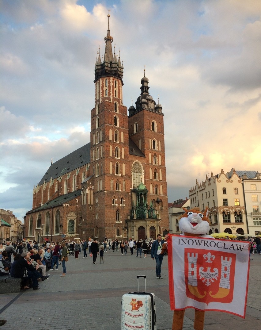 Inowrocławska Wiewiórinka zakończyła swoją kilkumiesięczną...