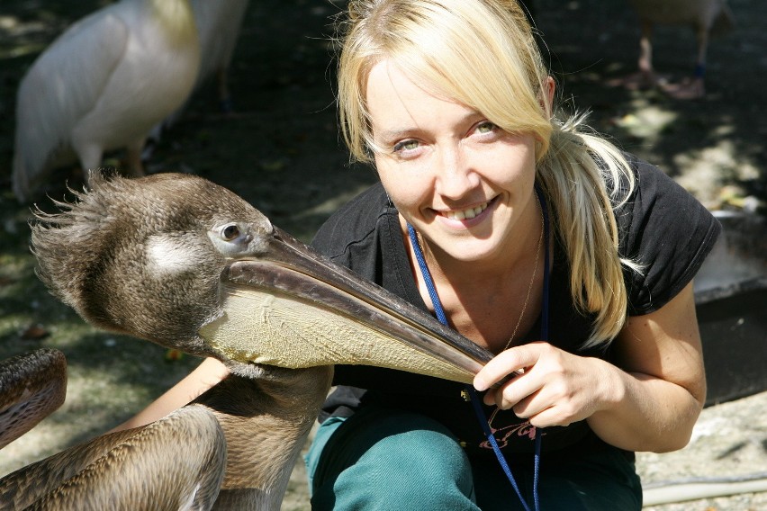 Chorzowskie zoo świętuje urodziny. Czy jest na miarę XXI wieku? Oceńcie [DUŻO ZDJĘĆ]