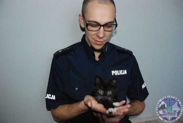 Policjant KPP Puck adoptował kota z Brudzewa. Ocalony Czarnuś ma już nowy dom