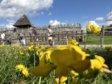 Takie imprezy w sierpniu i wrześniu 2023 proponuje Muzeum Archeologiczne w Biskupinie