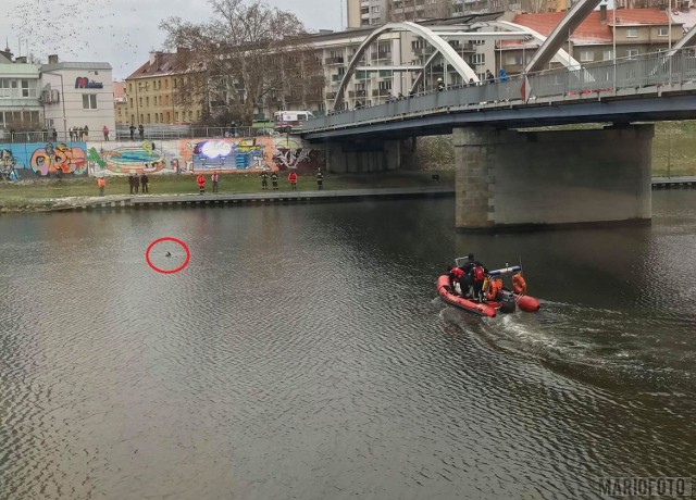 Kobieta miała przebywać w wodzie przez około 20 minut. Nie stawiała oporu przy wyciąganiu z rzeki.