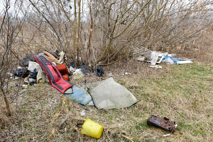 Czytelnicy wskazują nam miejsca, w których panuje...