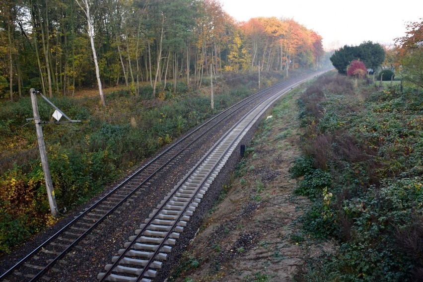 Wejście wykonawcy zastępczego na plac budowy planowane jest...