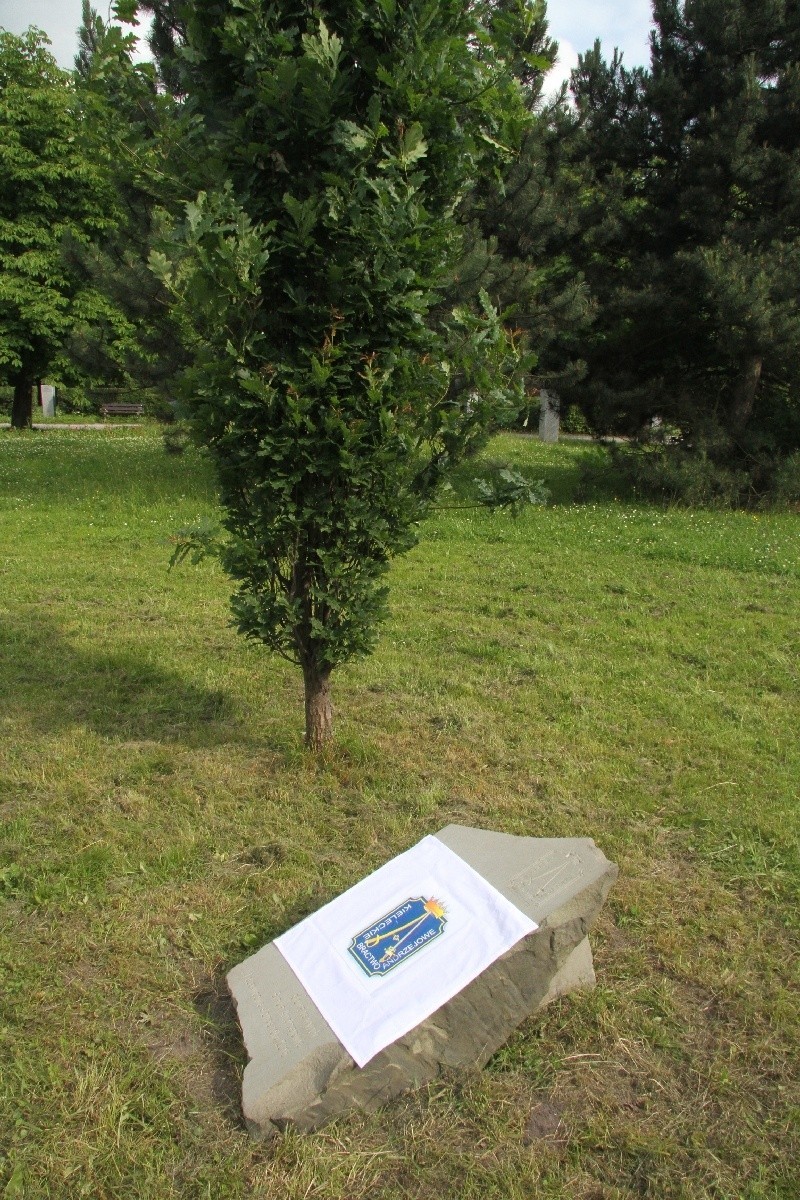 Pamiątkowy kamień Bractwa Andrzejowego odsłonięty