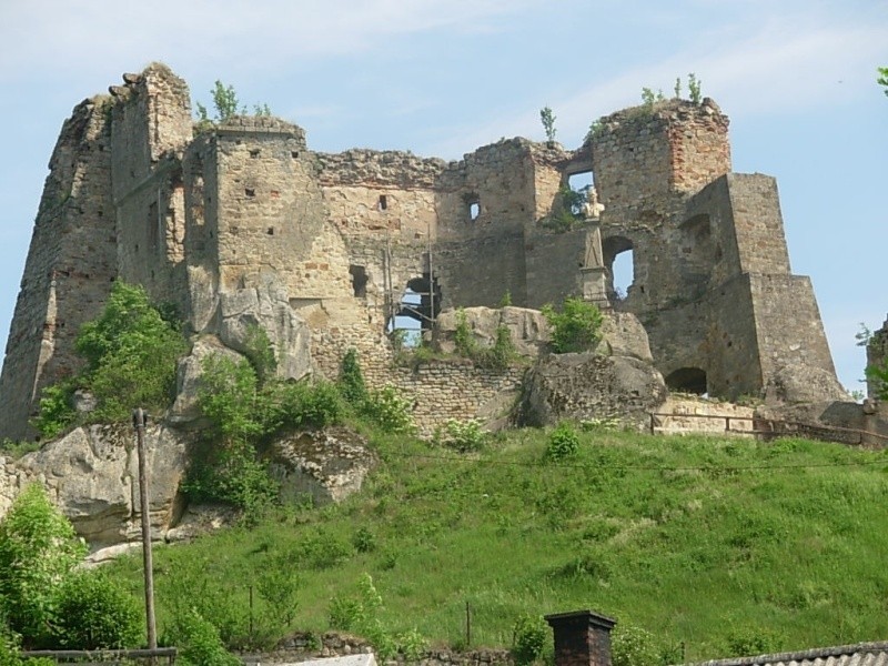 Zamek Kamieniec w Odrzykoniu