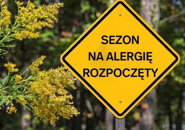 Nie tylko dla alergików – w jakich chorobach ulgę przyniesie oczyszczacz powietrza?