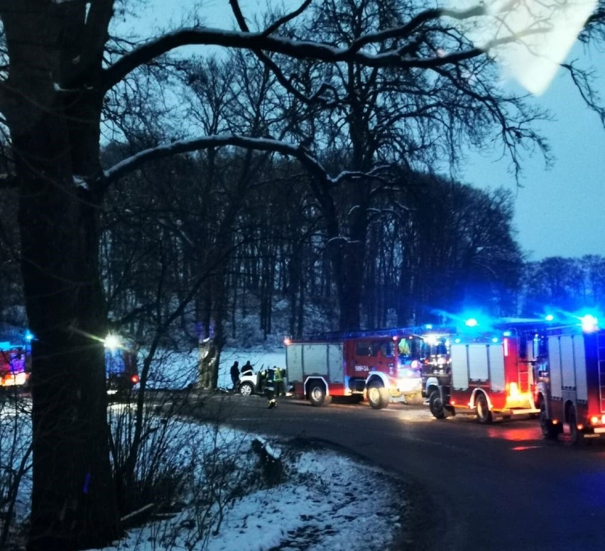 Wypadek między Kwilczem a Kurnatowicami. Auto uderzyło w drzewo. Dwie osoby poszkodowane [ZDJĘCIA]