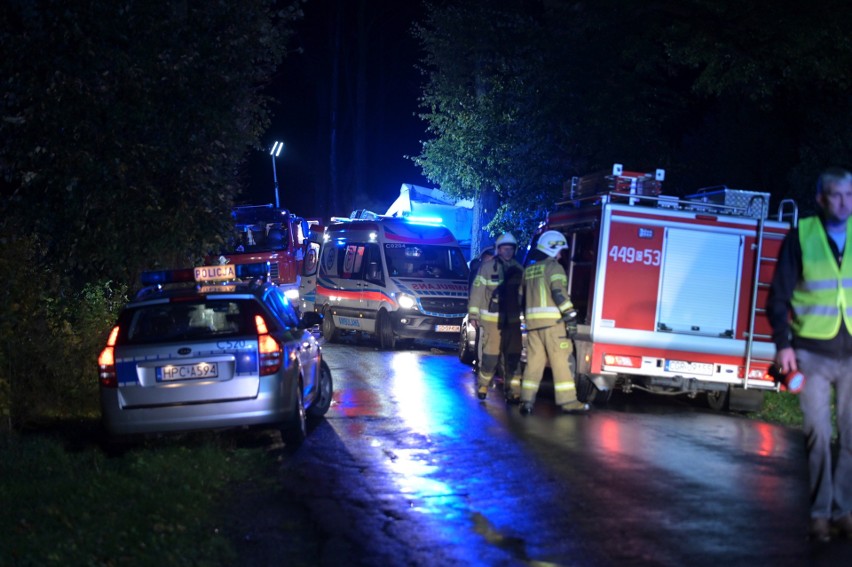 Ciężarówka uderzyła w drzewo w Szczepankach pod Grudziądzem. Kierowca był zakleszczony w kabinie