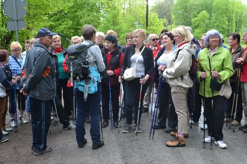 Bielsko-Biała: seniorzy włączyli się w ogólnopolski marsz UTW 2015 [ZDJĘCIA]