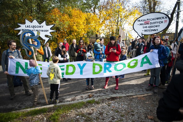 Aktywiści, ekolodzy, mieszkańcy Krakowa w niedzielę (23 października) przybyli do Przegorzał, by wziąć udział w proteście przeciwko budowie Trasy Pychowickiej na terenie lasu lęgowego.