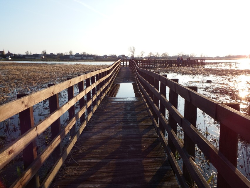 Narwiański Park Narodowy - kładka Waniewo Śliwno