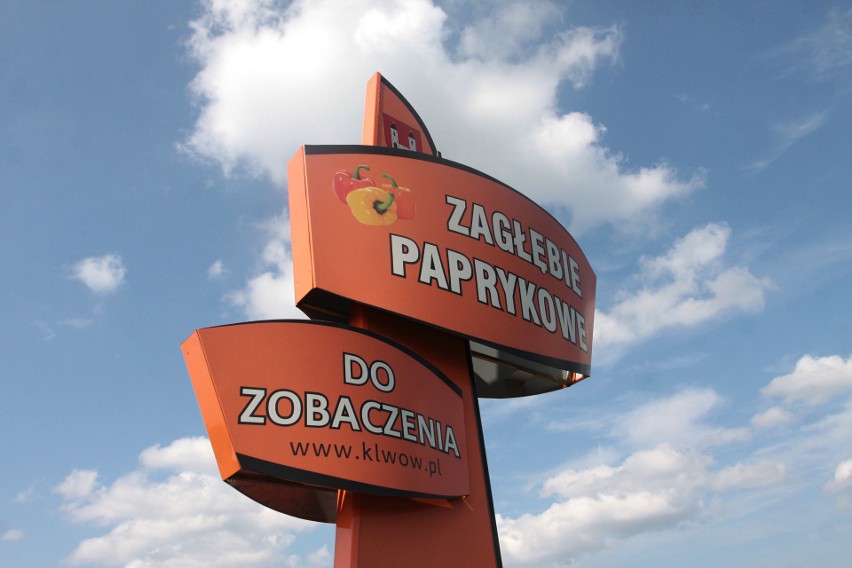 Papryka jest symbolem gminy Klwów, z upraw warzyw zyje...
