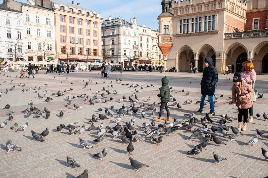 Rynek w Krakowie