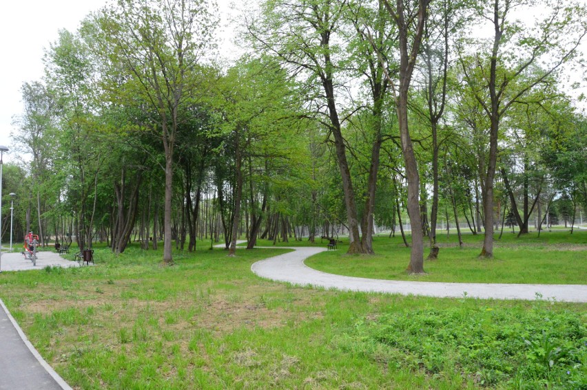 Park miejski w Dobczycach