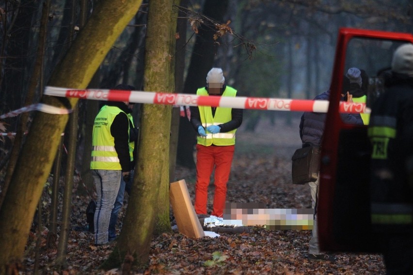 Morderstwo w parku Kościuszki w Katowicach 9.11.2016