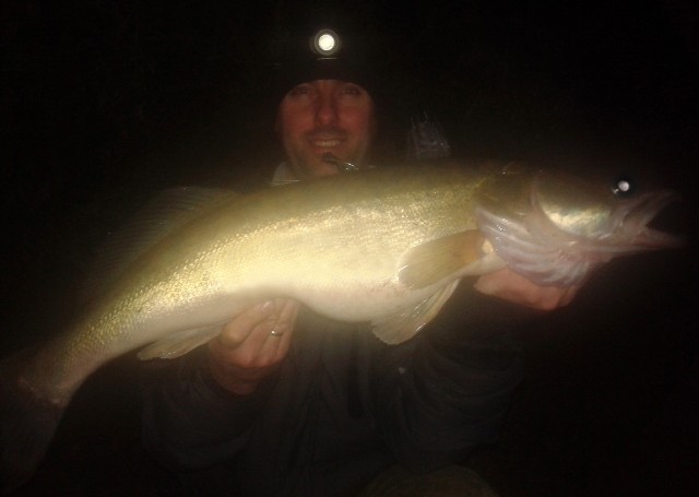 Krzysztof Kamela, spinningując nad Wisłą w okolicy Strzelec Dolnych,  30 grudnia ubiegłego roku złowił wieczorem sandacza -  6,9 kg i 88 cm