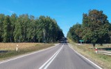 Budowa drogi S16. Odcinek Krynice-Knyszyn. To fragment trasy Via Carpatia GDDKIA wskazało najkorzystniejsza ofertę. 