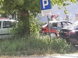 Pożar samochodu przy Wierzbowej w Białymstoku. Dwa zastępy straży gasiły płonące auto