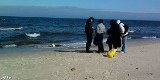 Bałtyk wyrzucił zwłoki na plaży w Unieściu