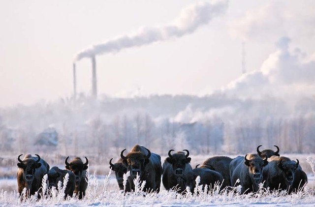 nagrodzone w  konkursie fotograficznym Podlasie w obiektywie