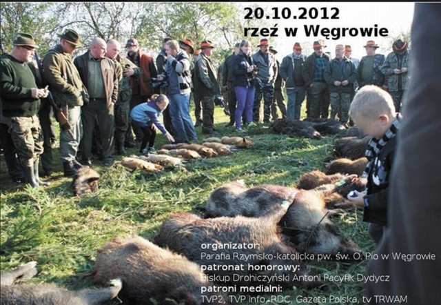 Internautów najbardziej bulwersuje fakt, że po pobłogosławionym przez biskupa Dydycza polowaniu martwe, zakrwawione zwierzęta oglądały m.in. małe dzieci