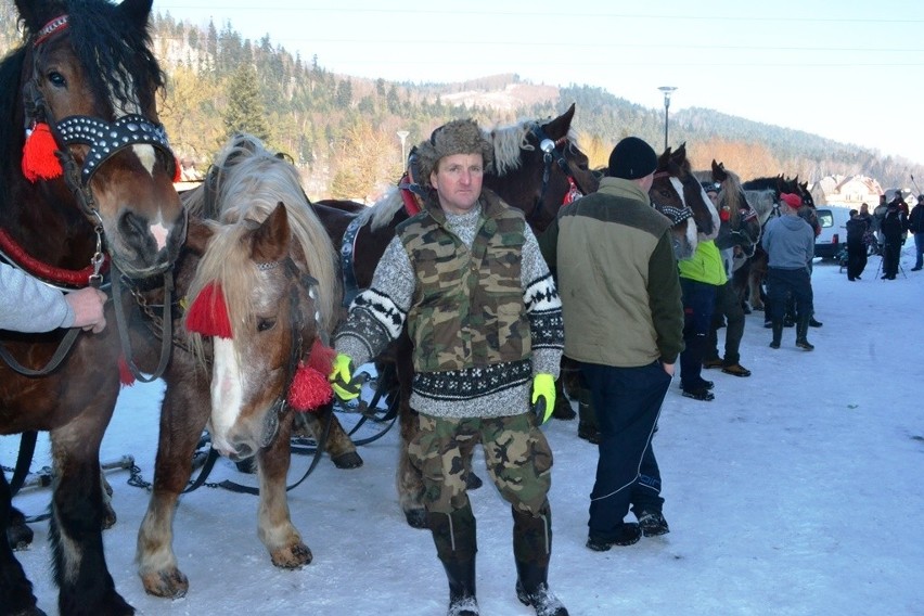 Zawody Furmanów 2017 w Węgierskiej Górce