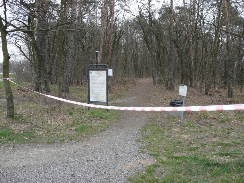 Pabianice Koronawirus. Tak wyglądają Pabianice w czasie empidemii koronawirusa