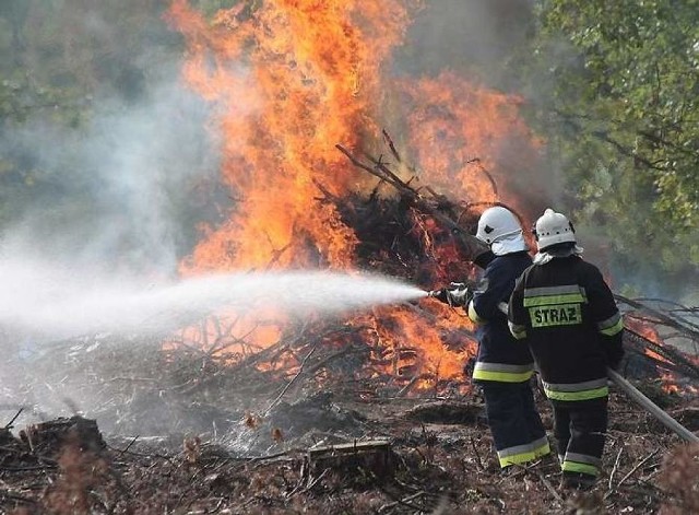 Prawie 60 strażaków PSP i OSP brało udział w gaszeniu pożaru tartaku w Nadrożu pod Rogowem