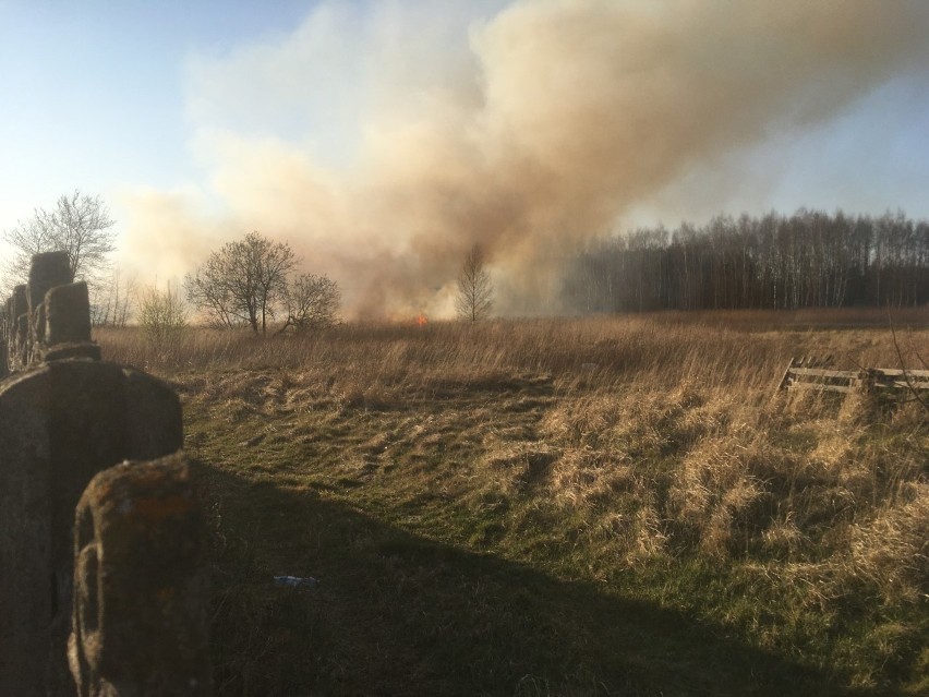 Zdjęcia pożaru traw, niedaleko stacji paliw w Jasionce,...