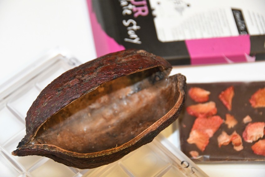 Na zdjęciu: łupina owocu kakaowca