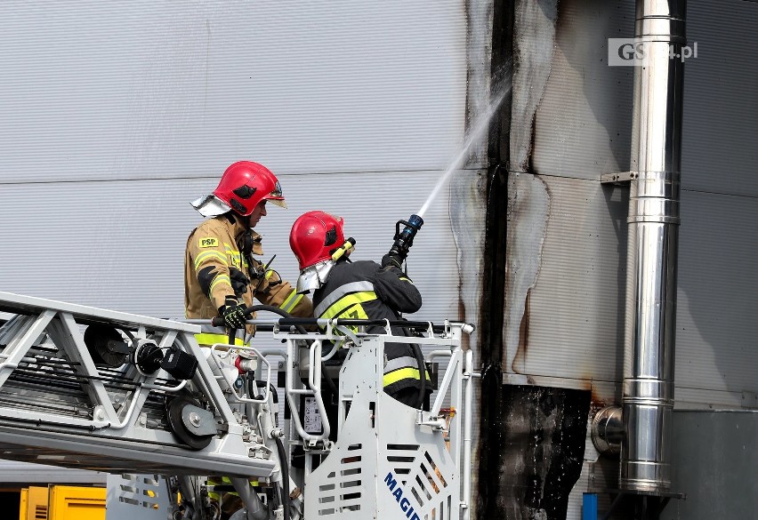 Pożar w Castoramie w Szczecinie opanowany. Spłonął fragment dachu