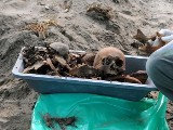 Ludzkie szczątki na Sowińskiego. Po odkryciu robotnicy pracują dalej 