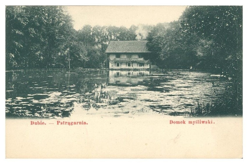 Dubie - pstrągarnia Rózin. Pocztówka z 1906 roku.