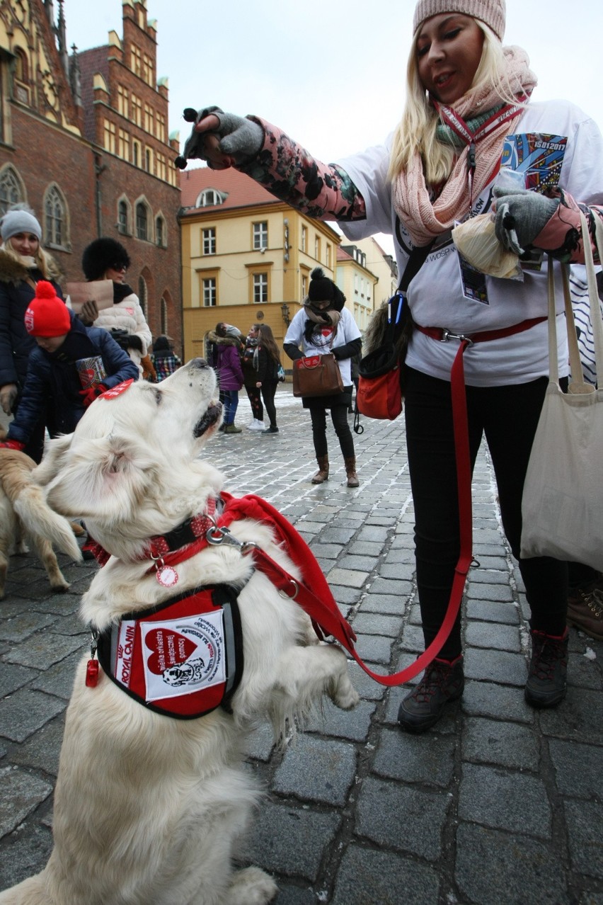 Goldeny też kwestują na WOŚP