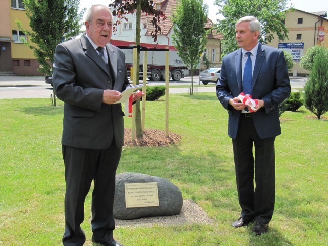 Henryk Klaman (po lewej), przewodniczący rady miasta i Jan Owsiak - burmistrz - podczas odsło -nięcia tablicy upamiętniającej posadzenie buka pospolitego czerwonolistnego na 720-lecie miasta