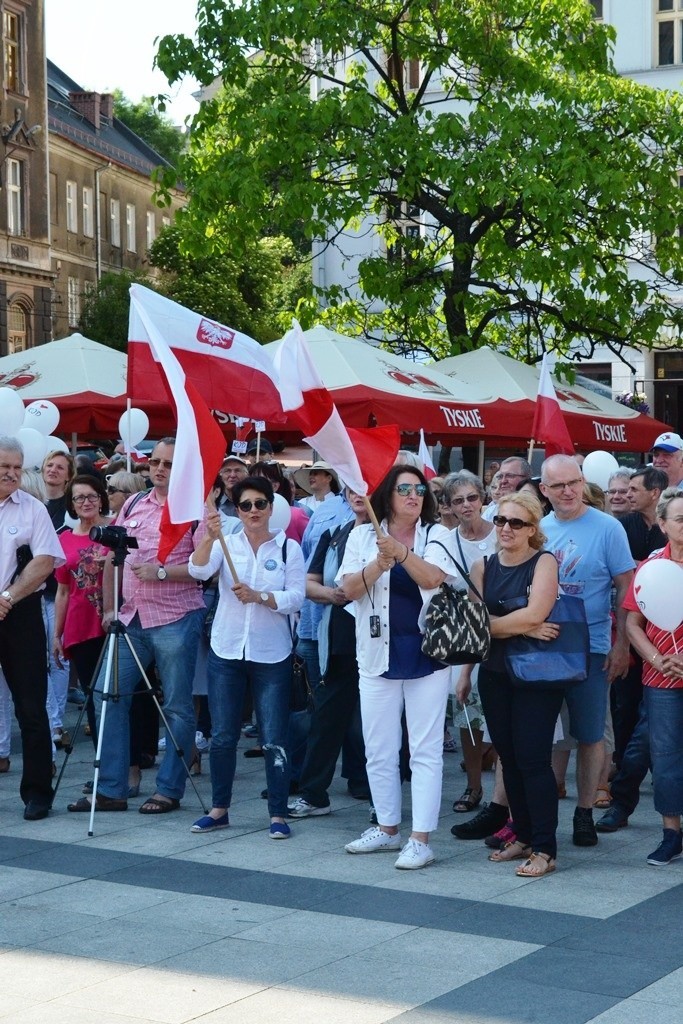 Piknik KOD Podbeskidzie w Bielsku-Białej z okazji 4 czerwca