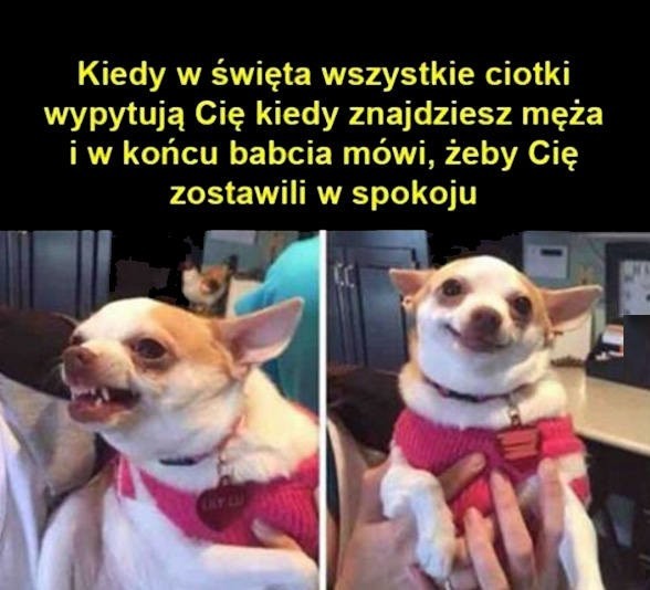 Świąteczne memy, czyli Boże Narodzenie w krzywym zwierciadle 